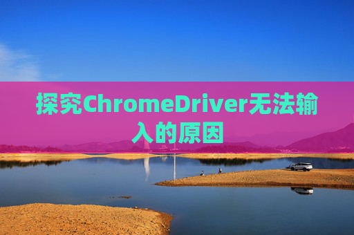 探究ChromeDriver无法输入的原因